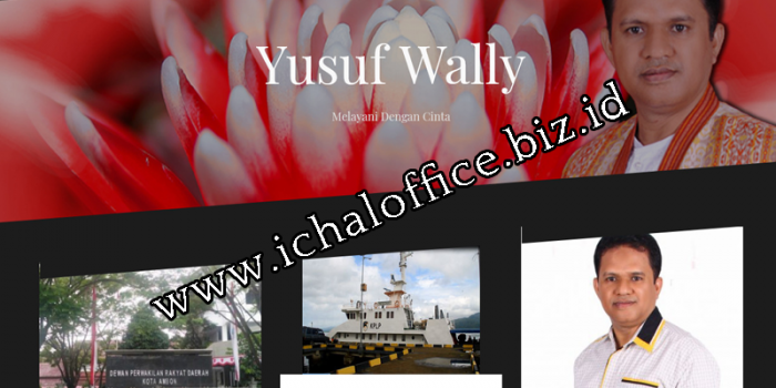 Website Yusuf Wally