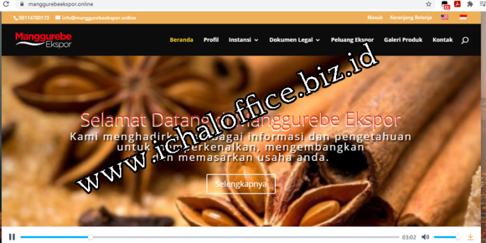 Website Info Ekspor di Maluku